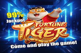 Studio live casino na777 dengan dealer profesional dan kamera multi-sudut